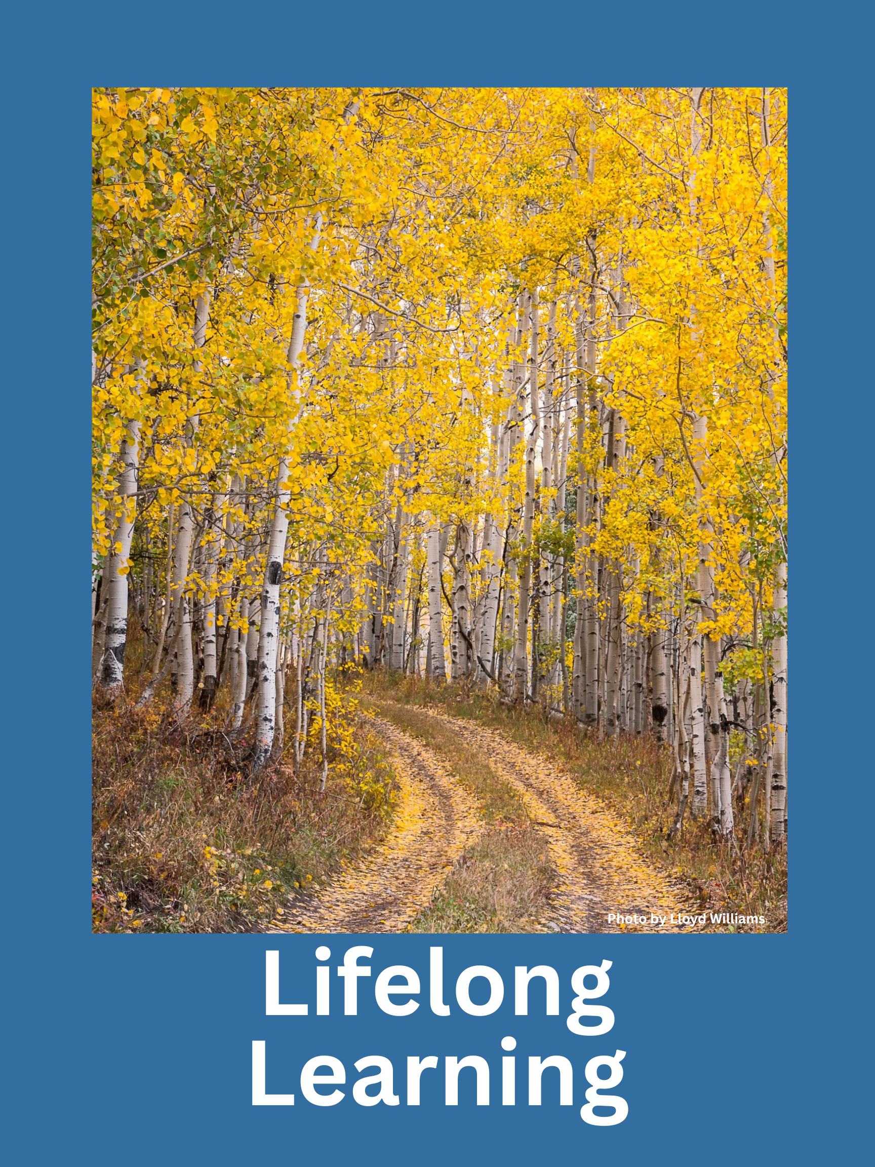 Lifelong Learning