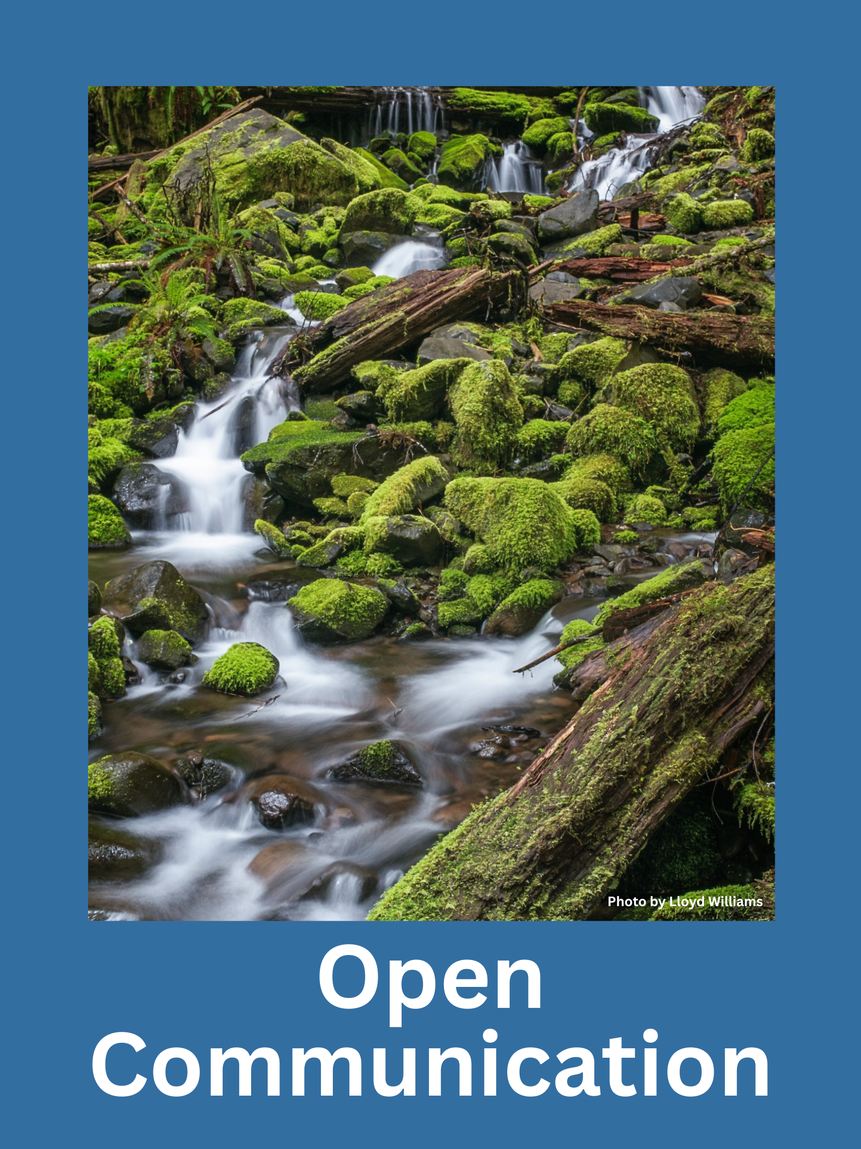 Open Communication